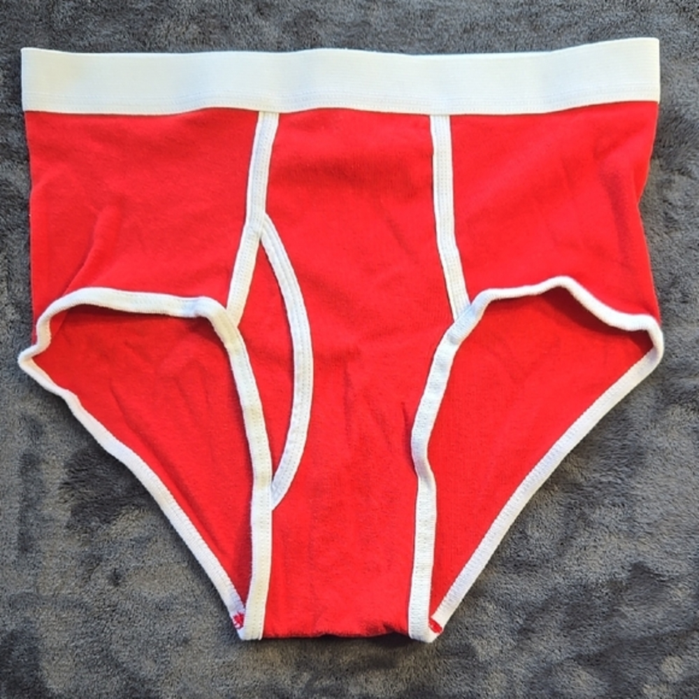 Los Angeles Apparel Red Briefs